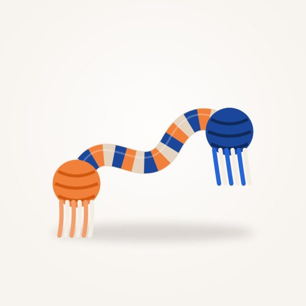 Braided Cotton Rope Toy