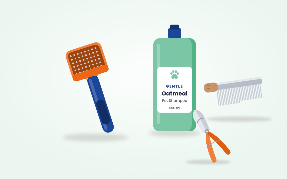 How Often Should You Groom Your Pet?