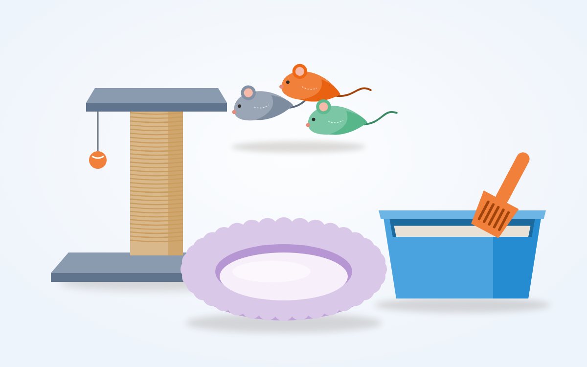 Essential Supplies Every New Cat Owner Needs