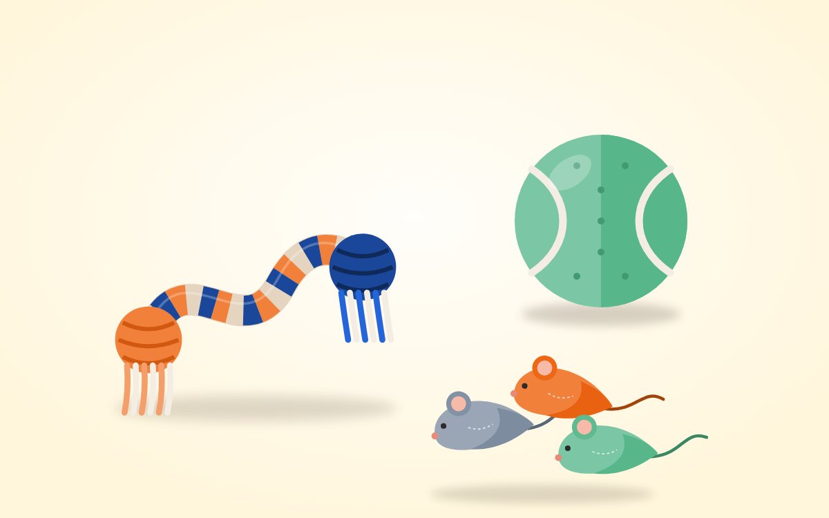 Choosing Safe Toys for Your Pet