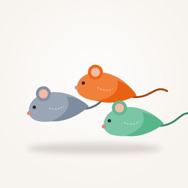 Catnip Mouse Toys – 3 Pack