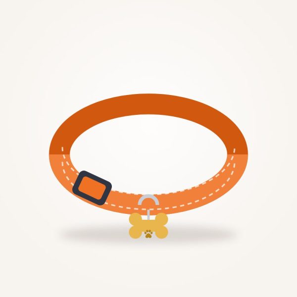 Padded Nylon Dog Collar