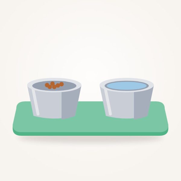 Stainless Steel Bowl Set with Mat