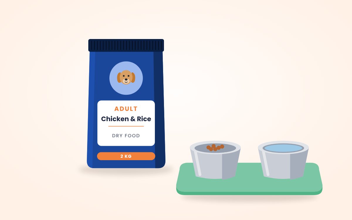 How to Choose the Right Food for Your Dog
